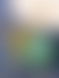 Parece mentira, mas a energia solar está sendo jogada no lixo