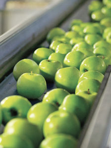 Danfoss aponta caminhos para um futuro mais sustentável na indústria de alimentos e bebidas