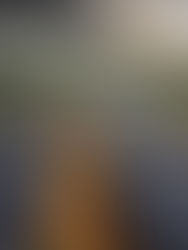 Expansão das Energias Renováveis no Rio Grande do Sul: O Papel do Sebrae em um Mercado em Evolução