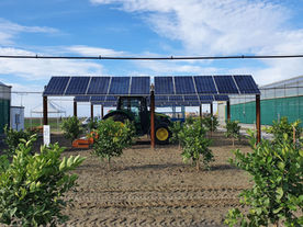 Agrovoltaica em canaviais: Valmont Solar aposta em nova fronteira para energia e agricultura sustentável