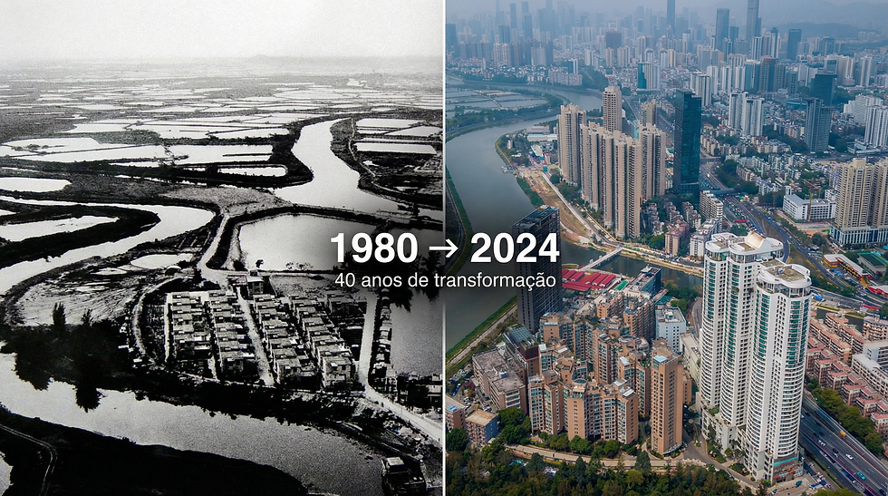 Artigo 3/12: Do Caos à Ordem: As Zonas Econômicas Especiais, o Laboratório do Futuro