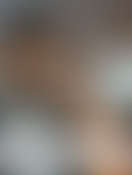 Ação e Sustentabilidade: A Revolução Energética no Nordeste Brasileiro