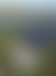 Tecnologia grid-forming: a peça-chave para a estabilidade energética do futuro