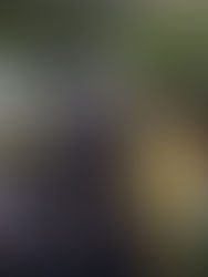 Campinas Recebe Imersão Avançada em Energia Solar com Especialistas de Renome Internacional