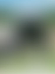 Ludfor expande presença em geração limpa com investimento estratégico em pequenas centrais hidrelétricas no Sul