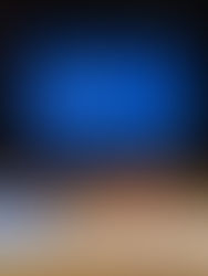 Suzano: Um Compromisso Sólido com a Sustentabilidade