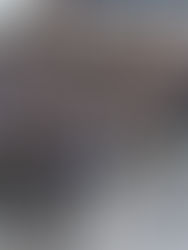 Intersolar Europe 2025: Inovação, Flexibilidade e o Caminho para o Futuro Energético da Europa