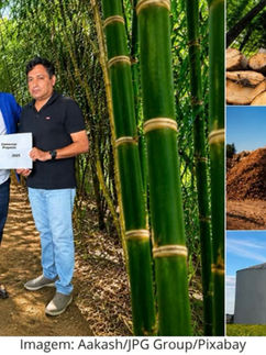 Del Bambú a la Energía: Proyecto en Sri Lanka Une Sostenibilidad, Desarrollo Económico y Capital Internacional