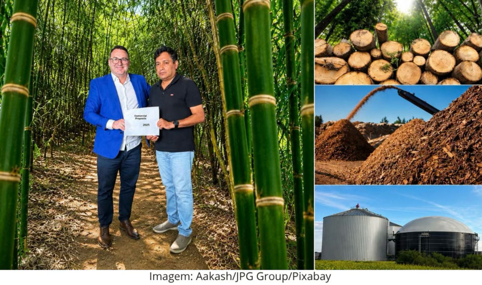 Del Bambú a la Energía: Proyecto en Sri Lanka Une Sostenibilidad, Desarrollo Económico y Capital Internacional