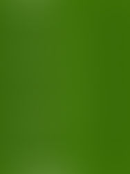 Grupo FRG lança calendário de eventos 2026 com foco em sustentabilidade, inovação e impacto real no setor energético