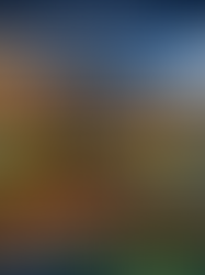 A Inércia do SIN e a Estabilidade de Redes na Transição Energética