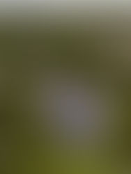 Conheça quatro estratégias para viabilizar projetos de energia solar em regiões de baixa irradiação