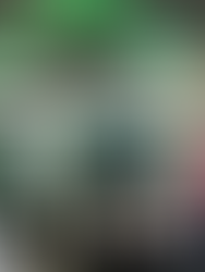 Astronergy apresenta os módulos fotovoltaicos da série ASTRO N na 8ª ExpoSolar Colombia