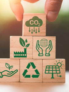 Enersim evitou que mais de 600 mil toneladas de CO2, fossem lançadas na natureza