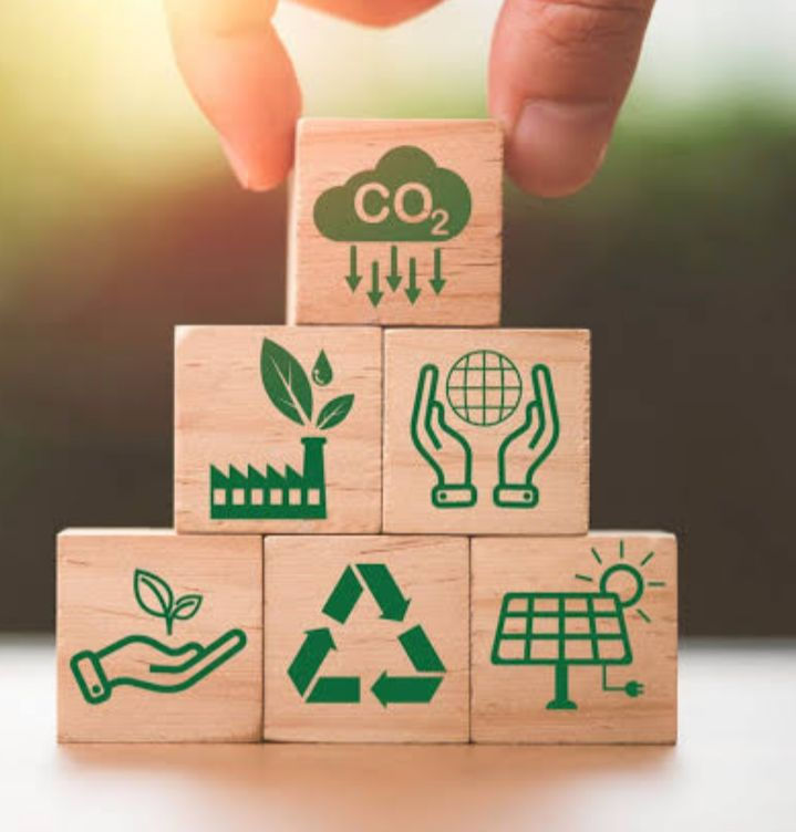 Enersim evitou que mais de 600 mil toneladas de CO2, fossem lançadas na natureza