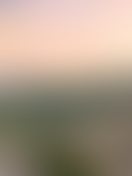 Thopen expande portfólio e investe R$ 556 milhões na compra de 45 usinas solares da Matrix Energia