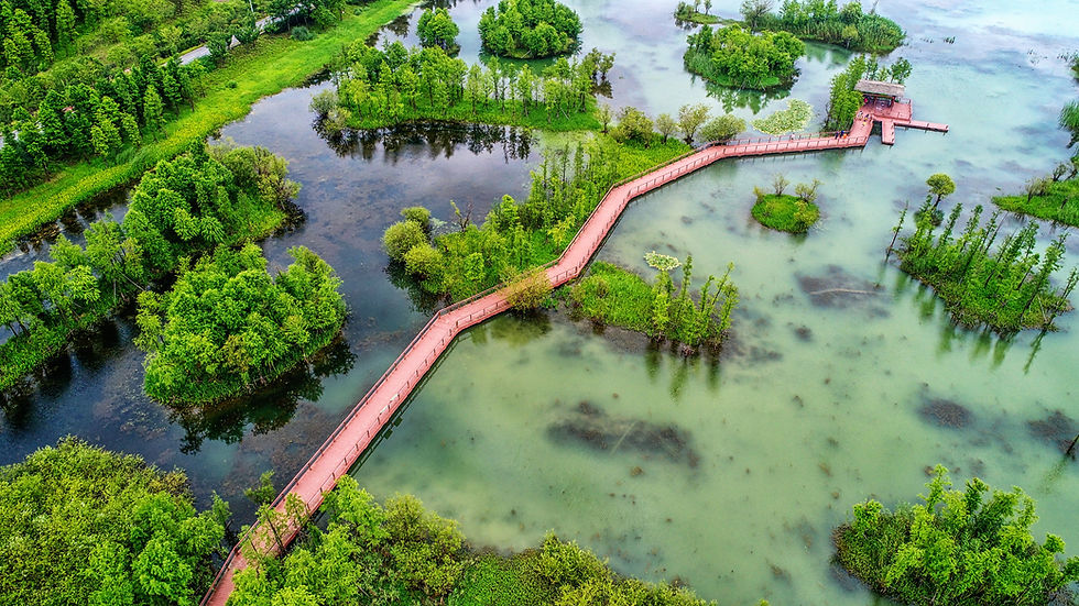 Veja como as cidades-esponjas podem ser uma solução para amenizar os problemas com alagamentos