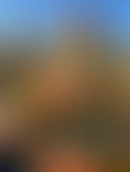 A Política da Falácia: Taxar o Sol e a Contradição da Sustentabilidade