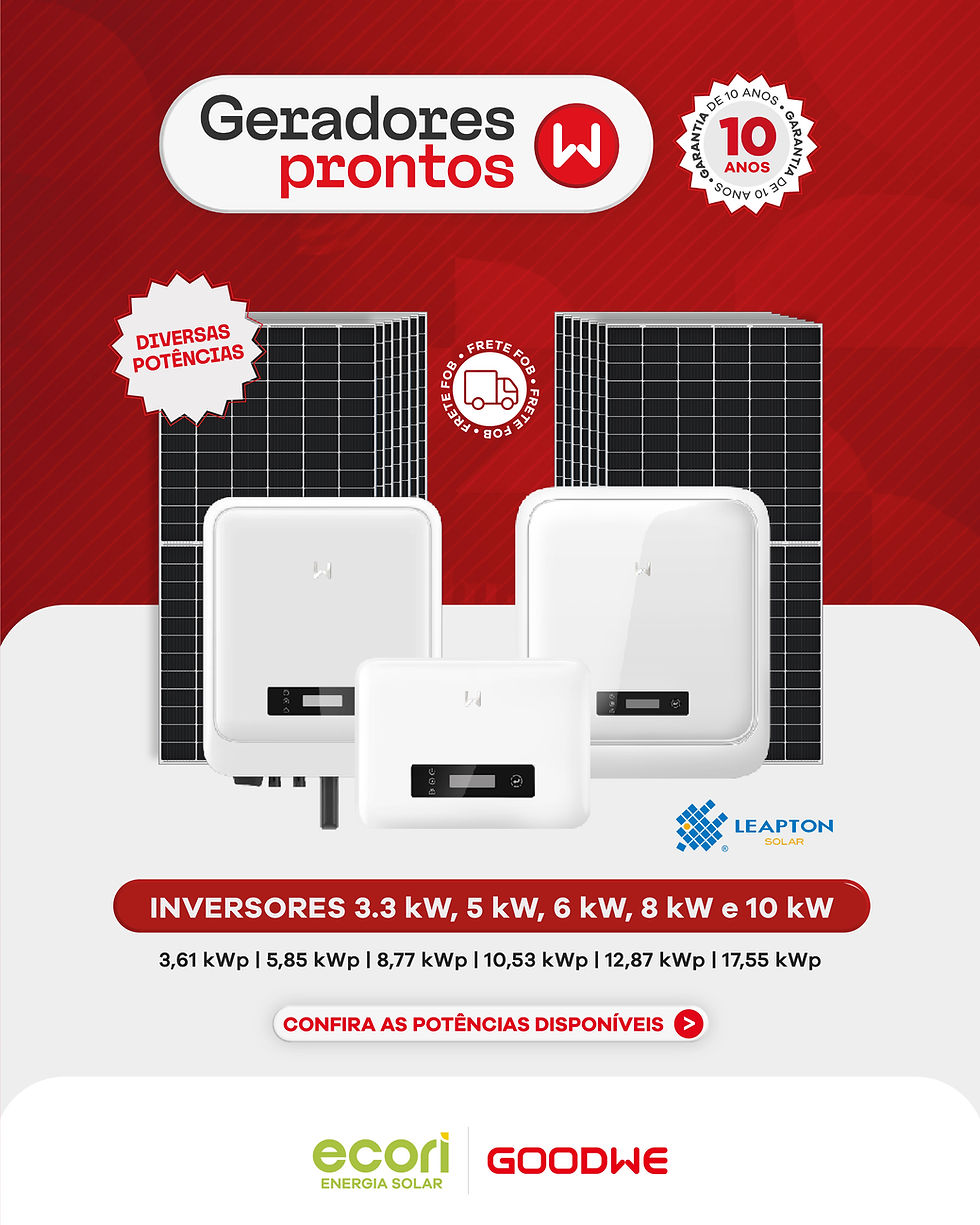 Ecori Disponibiliza Linha de Geradores Solares com Inversores GoodWe e Módulos Leapton