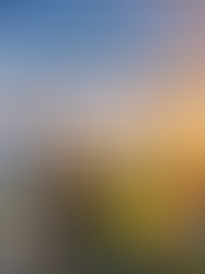 Tudo de Energia: o ecossistema que quer preparar o Brasil para a nova economia da energia