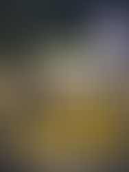 FX Energia e RENEW firmam acordo estratégico para criar uma das maiores redes de eletropostos do Brasil