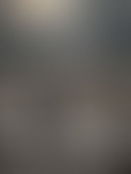 O Espetáculo do Absurdo: A Política Brasileira em Sintonia com Trump