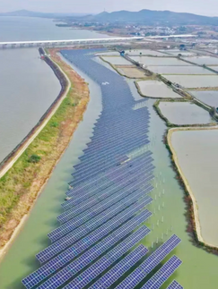 Usinas solares com piscicultura: a aposta da China que pode transformar o agro brasileiro