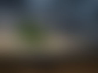 Cómo el Afán Recaudatorio Amenaza el Futuro Renovable de Brasil