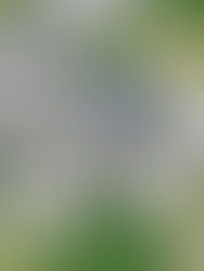 REVOLUÇÃO ENERGÉTICA: Sistema Solar Híbrido é Instalado em Residência Paulista