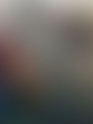 A crise do Mar Vermelho pode ter um impacto significativo nas metas climáticas da indústria naval global