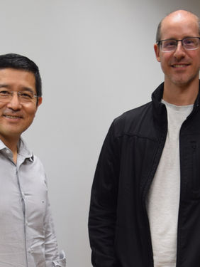 Greener e Iriun anunciam joint-venture com foco no mercado de fusões e aquisições do setor solar