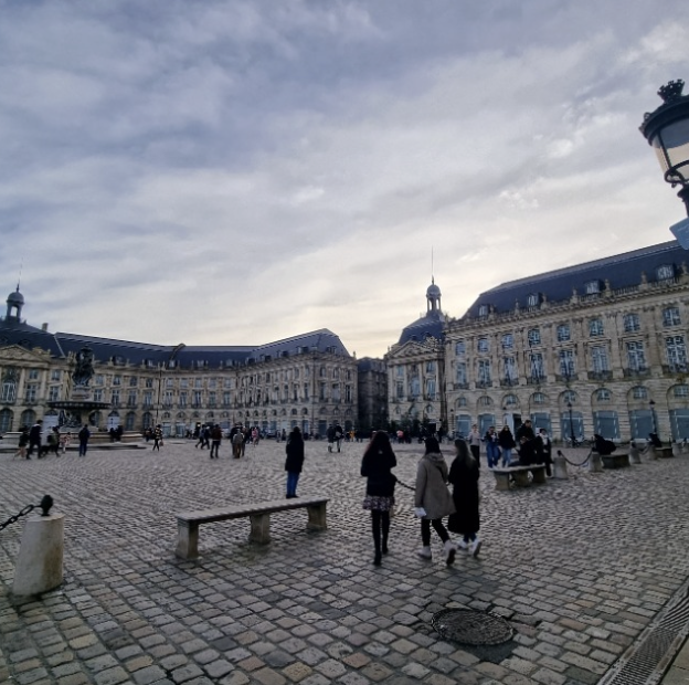 Foto do escritor: André Luis Ferreira Marques