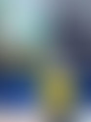 AESOLAR destaca inovaçÔes tecnológicas na Intersolar Brasil 2024