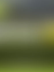 Ecori disponibiliza linha GoodWe a pronta-entrega