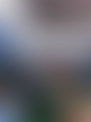 Intersolar Brasil Nordeste 2026 encerra edição com alta participação e consolida Fortaleza como polo estratégico da transição energética