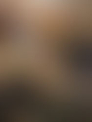 Florianópolis Recebe Inovação no Setor Energético com André da Sinkron no 360Solar