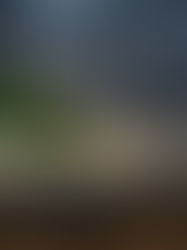 How Revenue Hunger Threatens Brazil’s Renewable Future