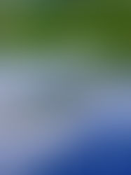 A Importância do Ângulo de Inclinação na Eficiência de Painéis Solares