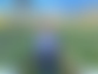 Sistema da GoodWe reduz em até 80% os custos de operação de indústria de alimentos em Minas Gerais