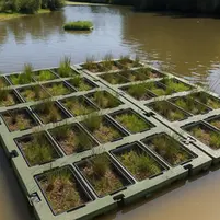 Agricultura Flutuante: Nova Fronteira Sustentável Une Produção de Alimentos e Recuperação da Água