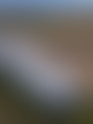 O Futuro da Estabilidade Energética com o Maior Sistema de Armazenamento de Baterias da Europa