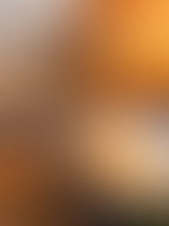 Desafíos y Resistencias en la Transición Energética Brasileña