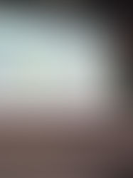 ABREN conclui programa de cooperação internacional com os Estados Unidos com foco na descarbonização do setor de resíduos no Brasil