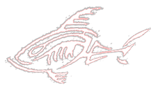 final logo tshirt_edited_edited_edited_e