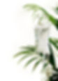 _ (19)_edited.jpg