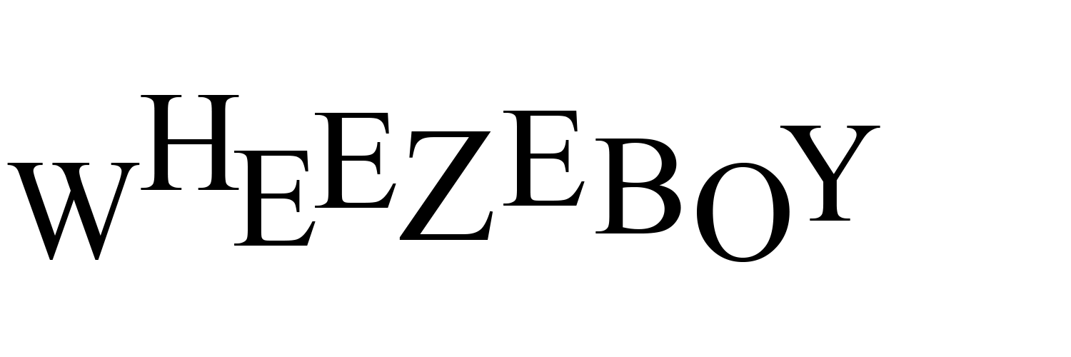 Wheezeboy-logo.gif