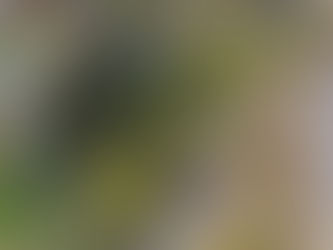 Ellensburg Community Morning Show, Wednesday, Dec. 13