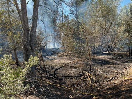 Ellensburg Community Morning Show, Thursday, June 13