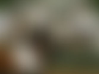 Ellensburg Community Morning Show, Wednesday, Feb. 5