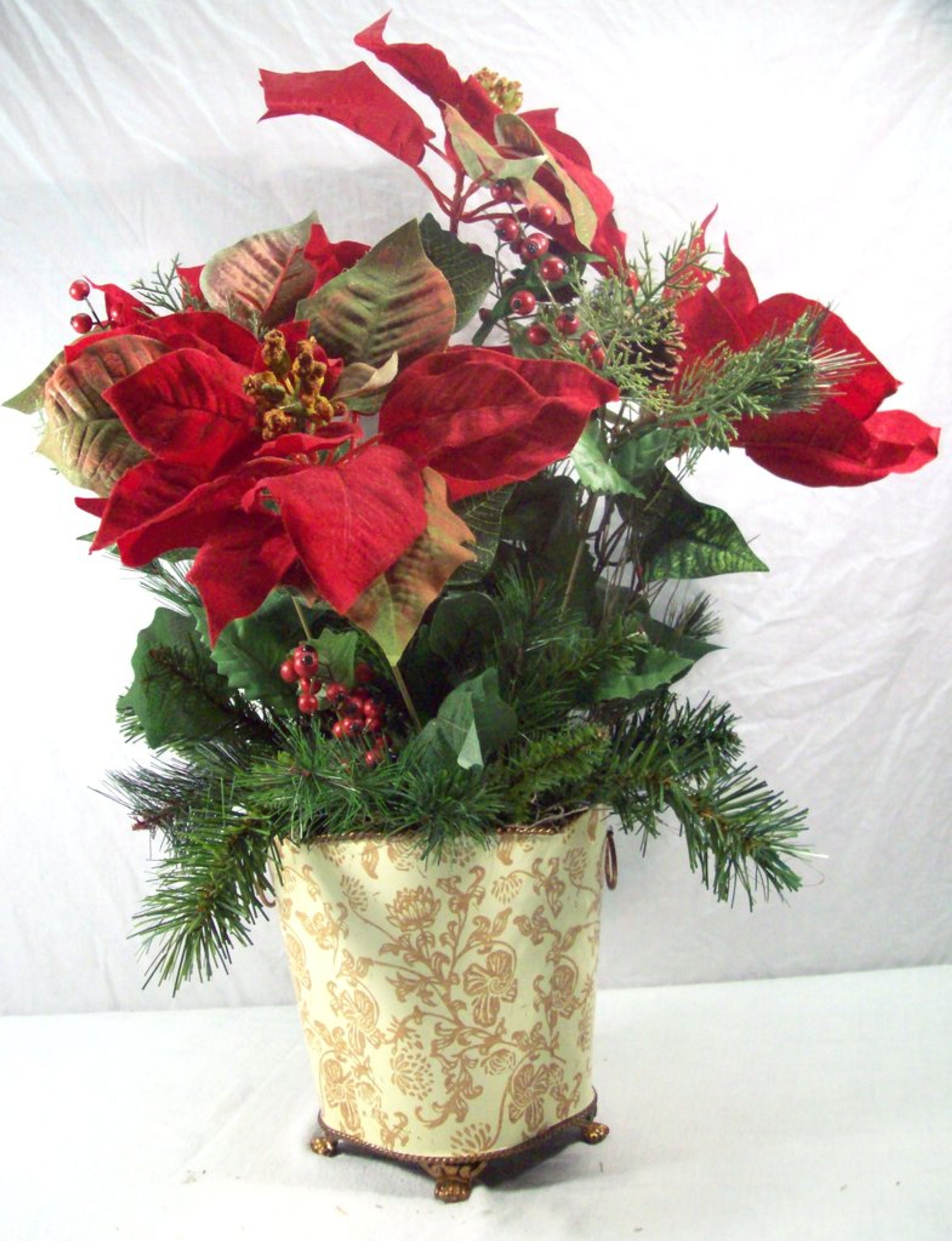 Poinsettia
